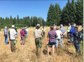 Water, trees & forest management: NorCal/SoCal SAF summer meeting & field tour