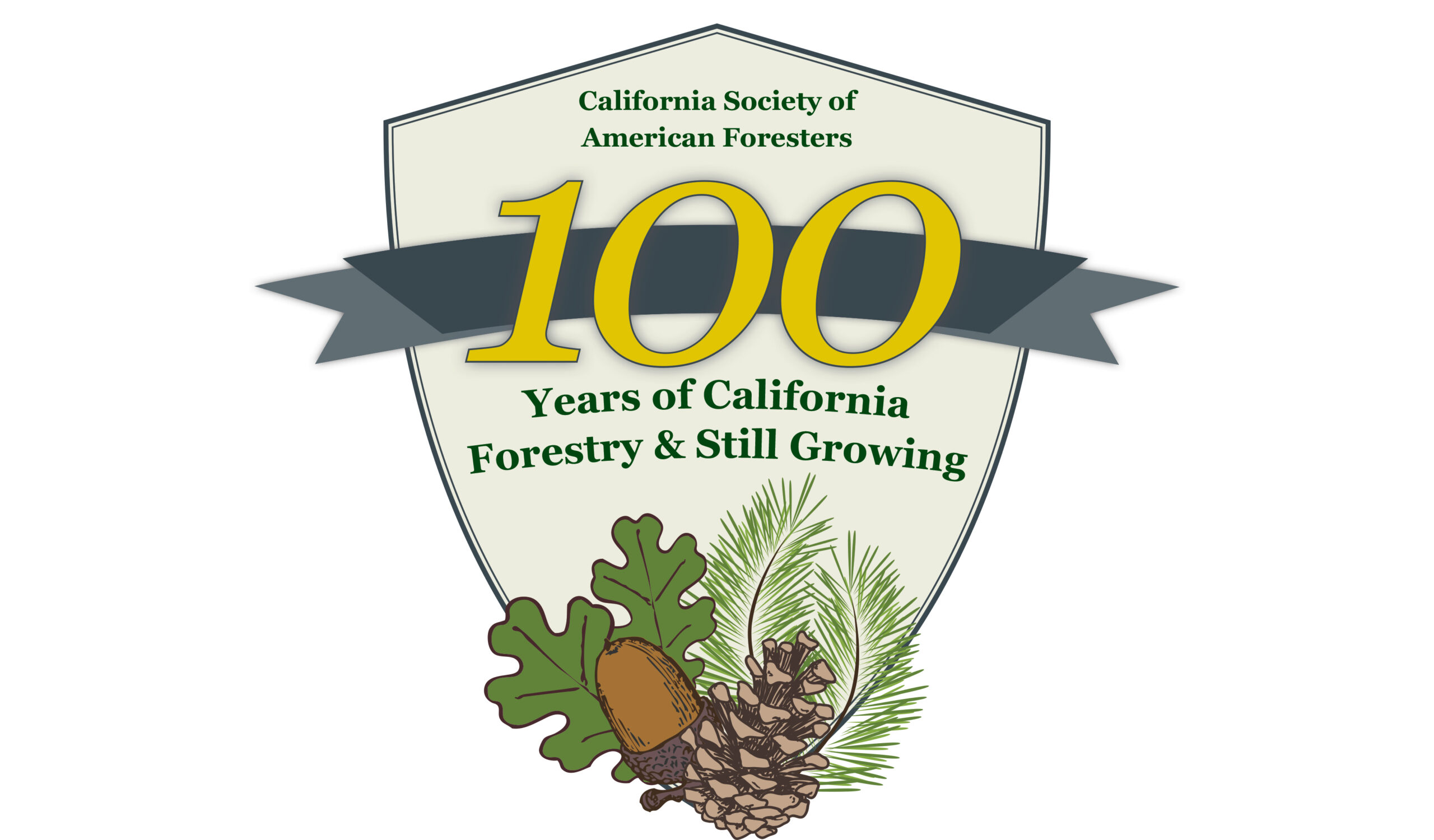 California SAF Celebrates 100 Years